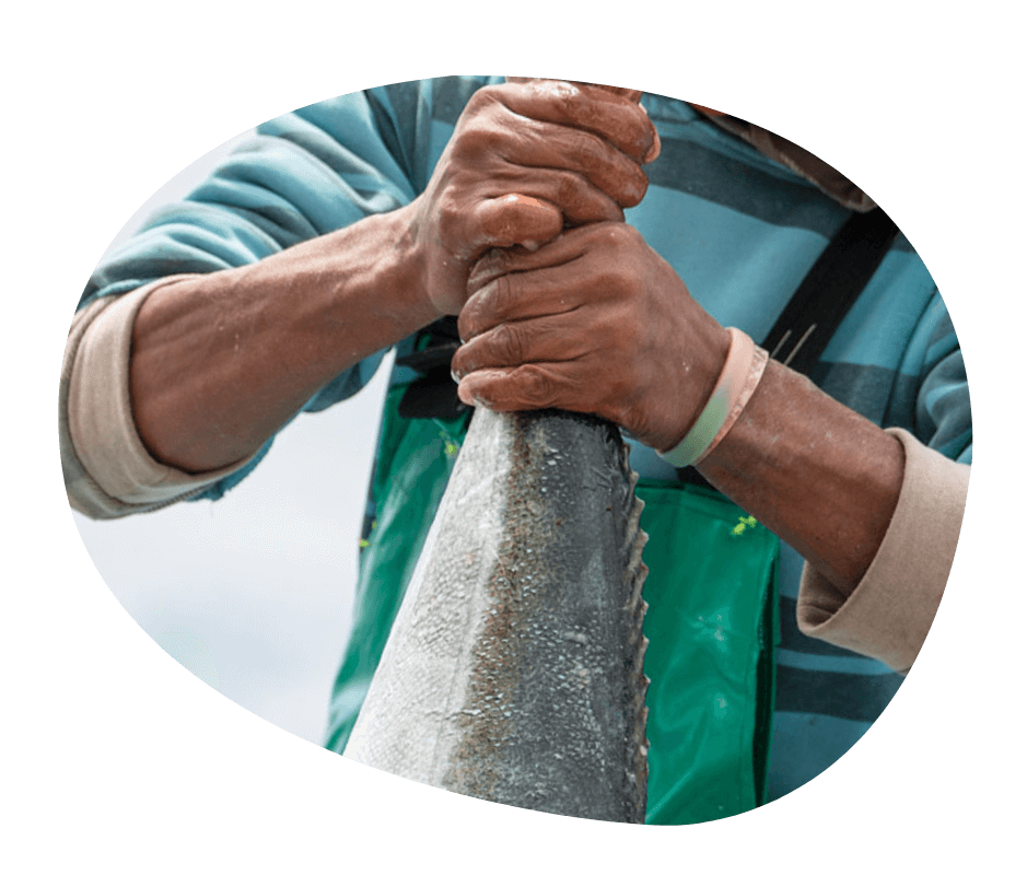 John Dorys Restaurant