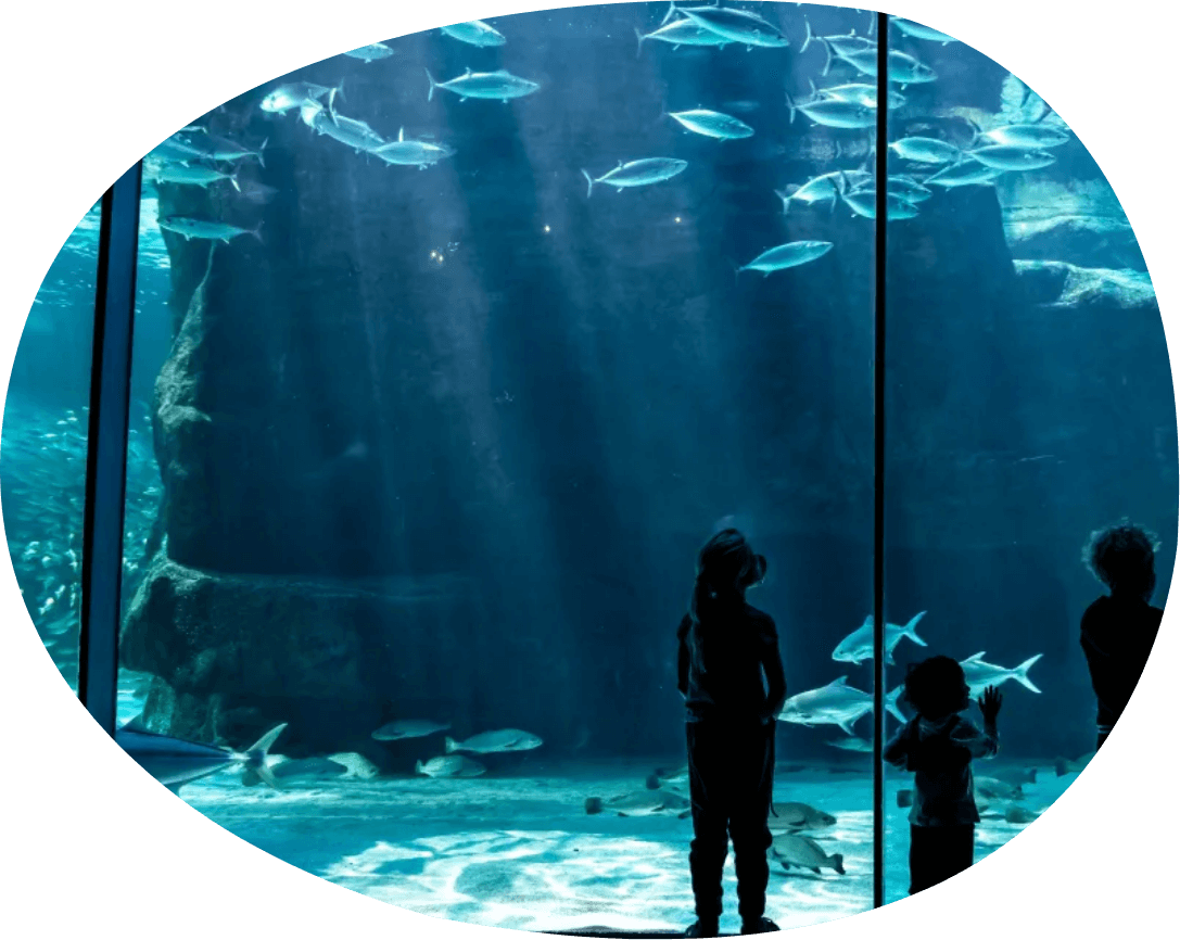 John Dorys Restaurant