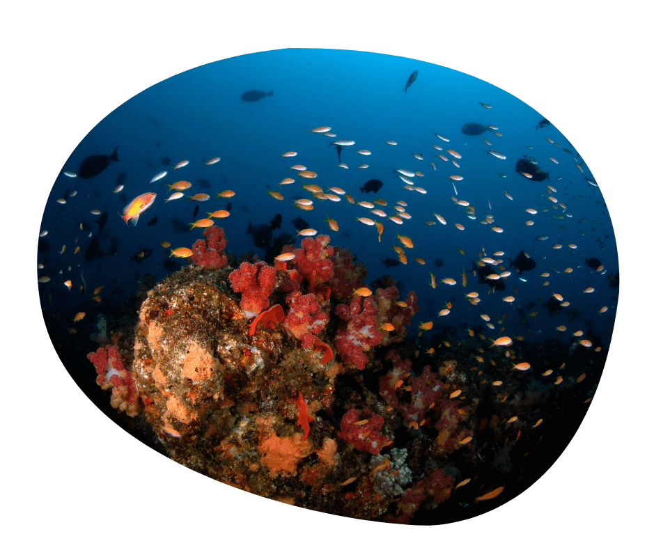 John Dorys Restaurant